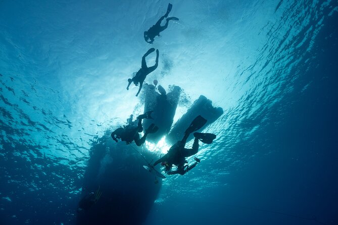 Private Discovery Scuba Diving with Sea Turtles - Underwater time with sea turtles: what you should expect