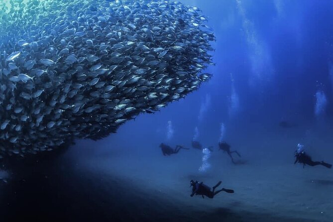 Private Dive Boat for Certified Divers - Cabo San Lucas - A private Cabo charter that trades crowds for options