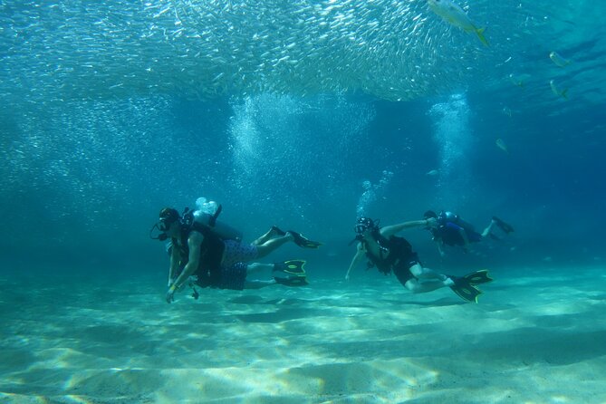 Private Dive Boat for Certified Divers - Cabo San Lucas - How the guide picks sites for beginners and advanced scuba
