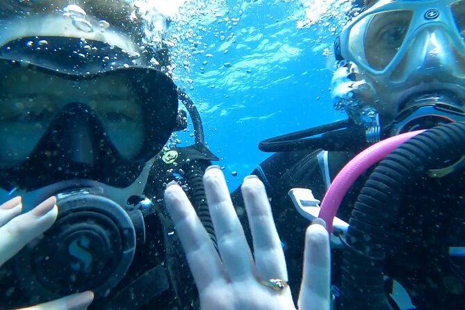 Private Dive Discovery for Beginners from a Boat - Key Things I’d Watch For Before Booking