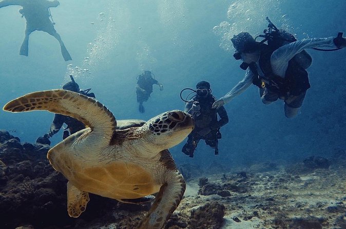 Private Dive + videographer/Photographer (Certified divers only) - Timing and Flow: What a 2-Hour Session Usually Means