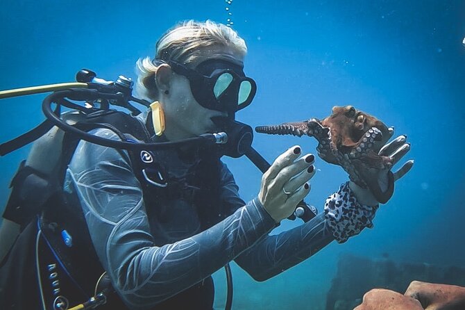 Private Dive + videographer/Photographer (Certified divers only) - Included Photos: 25 Professionally Edited Images