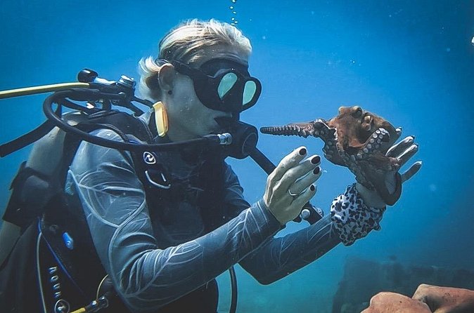 Private Dive + videographer/Photographer (Certified divers only) - Optional Boat Fee: When the Extra $45 Actually Helps