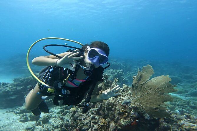 Private Dive + videographer/Photographer (Certified divers only) - Who Should Book This Scuba Photo Session in Aruba?