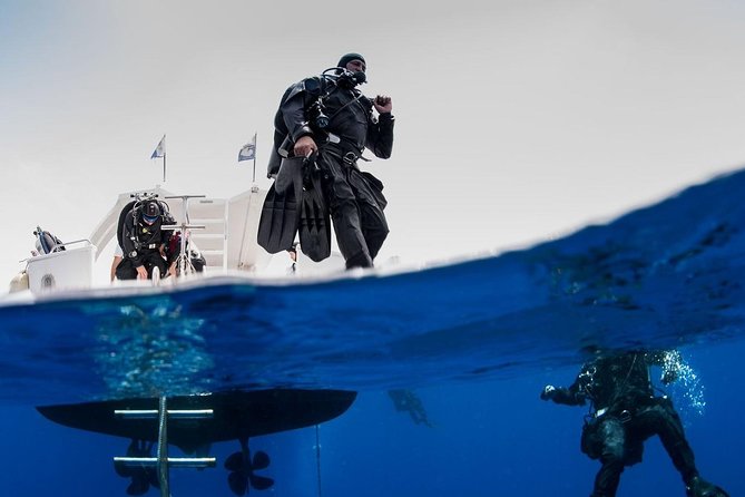 Private Diving at Zenobia Wreck in Larnaka - Zenobia Wreck: why this Swedish ferry is worth your time
