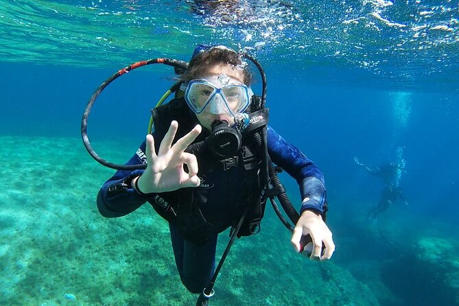 Private diving baptism in the Golf of Calvi - Certificate Time: Taking Home Proof You Did It