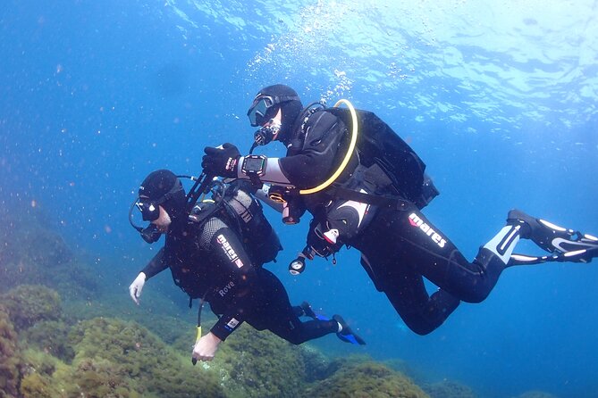 Private diving baptism in the Golf of Calvi - Gear and Briefing: Wetsuit, Mask, Fins, and Breathing Control