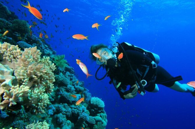 Private Diving Experience in Nusa Dua with Hotel Pick Up - Nusa Dua and Tanjung Benoa: a smart spot for first-timers