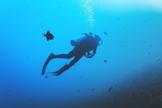 Private Diving Experience in Nusa Dua with Hotel Pick Up - Gear, showers, and the small stuff that saves your day