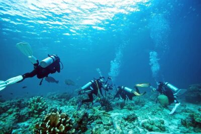 Private Diving Experience in Nusa Dua with Hotel Pick Up - Private setup with pickup from Jimbaran and Nusa Dua