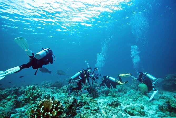 Private Diving Experience in Nusa Dua with Hotel Pick Up - Private setup with pickup from Jimbaran and Nusa Dua