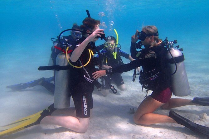 Private First-Time Dive on Aruba’s Reef and Wreck Site - Key Highlights You’ll Care About