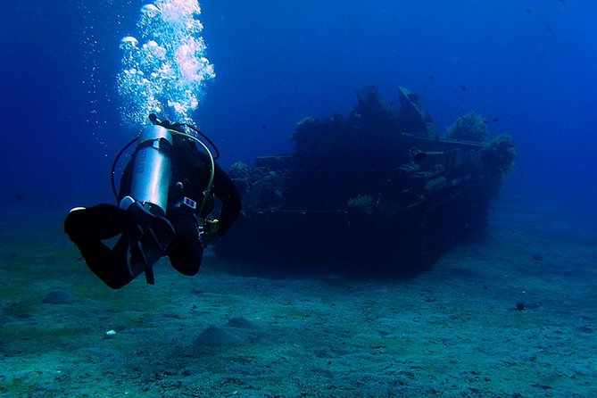 Private Intro Scuba Dive – Aqaba Coral Reefs - South Beach Aqaba: Why This Intro Works So Well