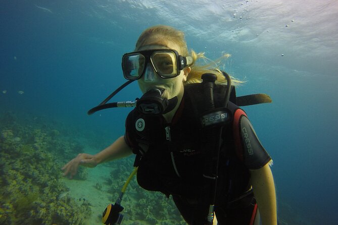 Private Intro Scuba Dive – Aqaba Coral Reefs - How the Experience Runs: From Registration to Reef Time