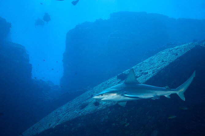 Private Niihau Scuba Charter with 2 or 3 Tank Dive Option - Weather realities for Ni‘ihau (especially Oct–Apr) and the Kaua‘i fallback