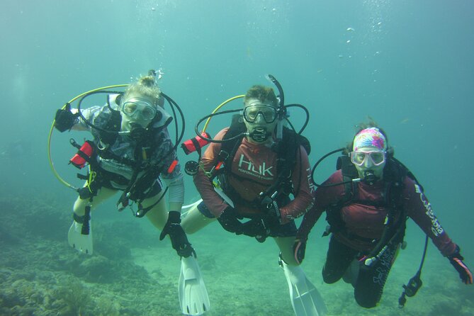Private SCUBA Dive the reefs of Key Largo for up to 8 certified divers - Getting there at Island Ventures: the dock-to-reef flow