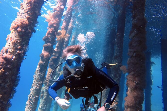 Private Scuba Diving Adventure in the Red Sea of Aqaba - Key Points You’ll Feel the Moment You Arrive