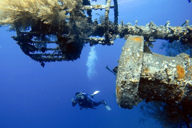 Private Scuba Diving Adventure in the Red Sea of Aqaba - Aqaba’s Shore Starting Point: Why This Format Works