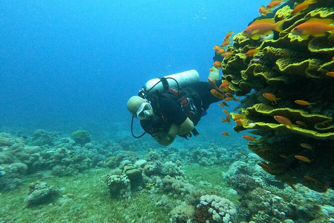 Private Scuba Diving Adventure in the Red Sea of Aqaba - Gear, Photos, and the Little Extras That Create Value