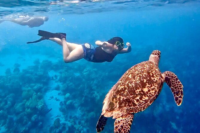Private Scuba Diving Charter in Bonaire Marine Park - Guides Like Jack, Jacob, and Seth Set the Tone