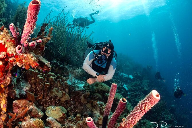 Private Scuba Diving Charter in Bonaire Marine Park - GoPro Photos and Videos: Your Best Souvenir
