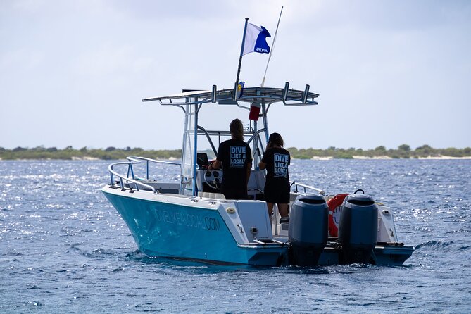 Private Scuba Diving Charter in Bonaire Marine Park - For Non-Scuba Partners and Mixed Parties