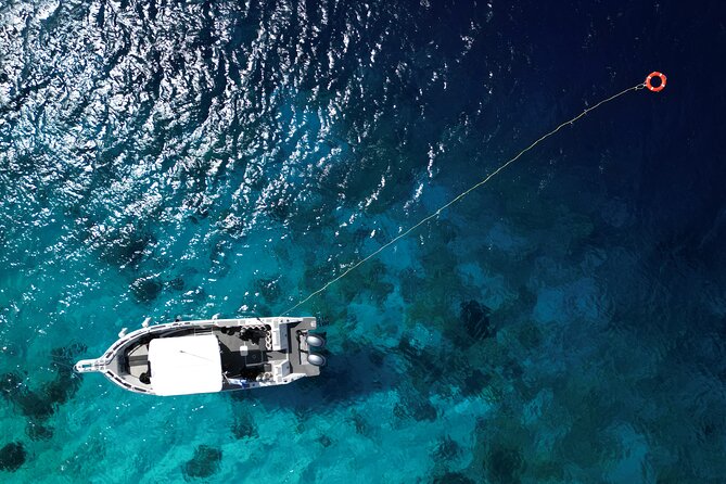 Private Scuba Diving Charter in Bonaire Marine Park - What the Valet Service Actually Changes for You