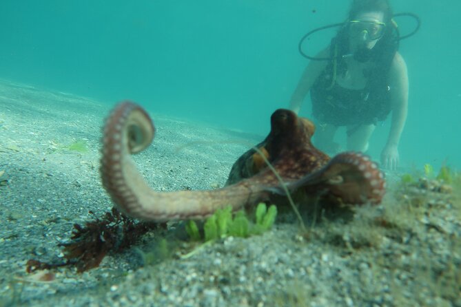 Private Scuba Diving Expert-Led Excursion Training with Tour - Key things you’ll remember from this private training