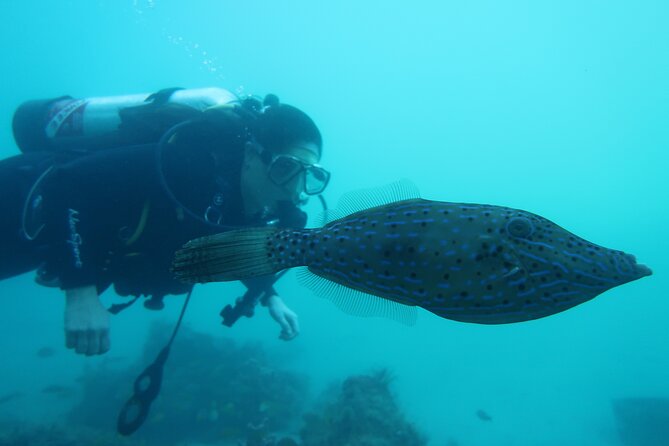Private Scuba Diving Expert-Led Excursion Training with Tour - The 4-hour experience: how private coaching usually unfolds