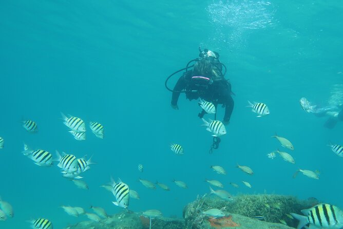 Private Scuba Diving Expert-Led Excursion Training with Tour - Photos, fish ID cards, and keeping the memory after