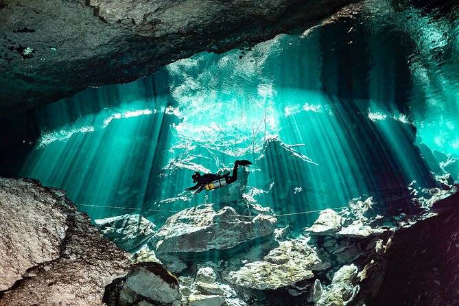 Private Scuba Diving in Cenote around Playa del Carmen - Key Highlights Worth Planning Around