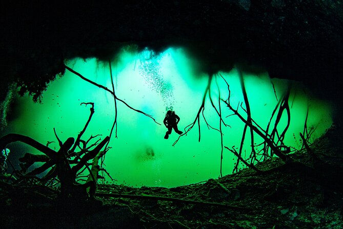 Private Scuba Diving in Cenote around Playa del Carmen - Getting to the Cenote: Quick Load-Up and a Lunch Stop