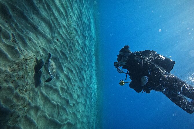 Private Scuba Diving in Tenerife – Certified Instructor & Photos - Private Pickup to Los Cristianos: How the 3 Hours Feel