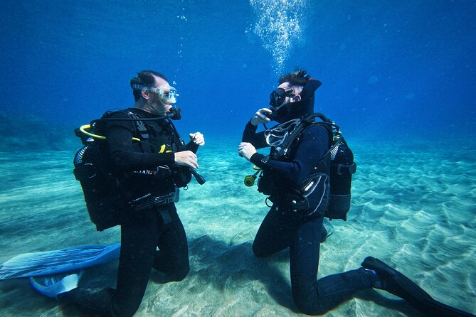 Private Scuba Diving in Tenerife – Certified Instructor & Photos - Your 30-Minute Underwater Session: Clear Water and Real Wildlife