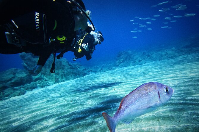 Private Scuba Diving in Tenerife – Certified Instructor & Photos - Instructors You’ll Actually Remember: Joanna, José, Guillaume, Julien