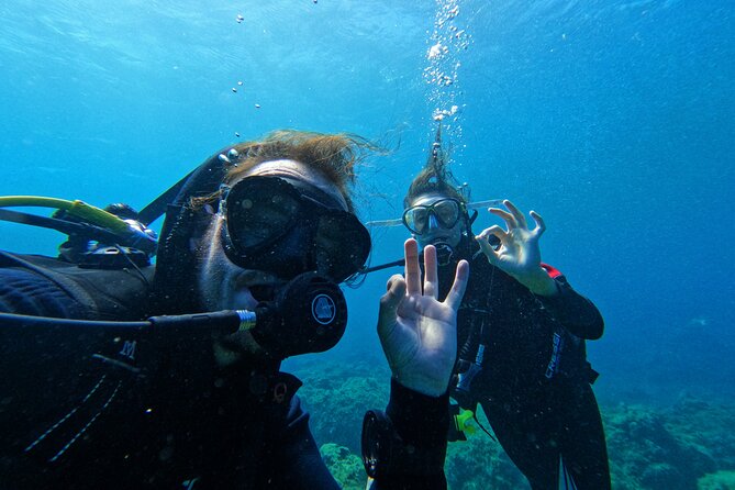 Private Scuba Diving in Tenerife – Certified Instructor & Photos - Free Underwater Photos and Videos: The Best Kind of Souvenir