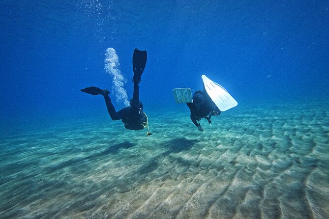 Private Scuba Diving in Tenerife – Certified Instructor & Photos - How to Prep: What to Bring and What Helps You Enjoy It