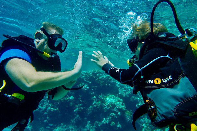 Private Scuba Diving Tour with Transportation and Guide - Navy Shipwrecks and Marine Life: What You’re Really Paying For
