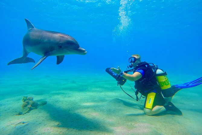 Private Scuba Diving Tour with Transportation and Guide - The Refresher Angle: Returning After a Long Break