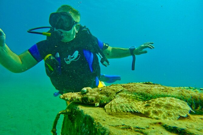 Private Scuba Diving Tour with Transportation and Guide - Guide Attention Matters: Why Private Feels Better Underwater