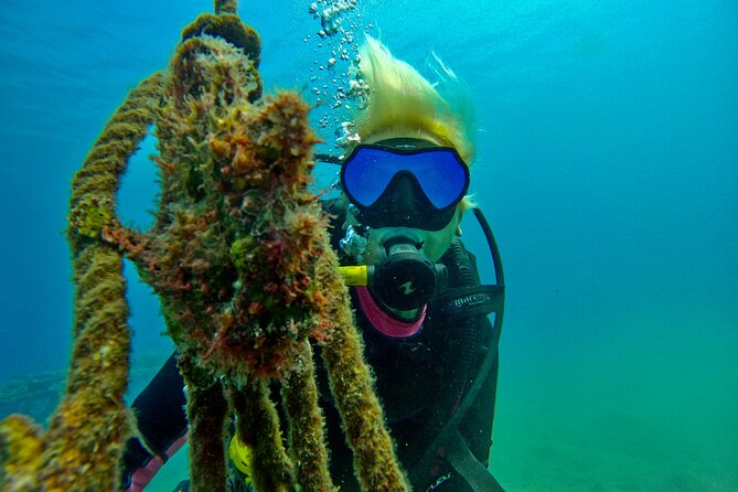 Private Scuba Diving Tour with Transportation and Guide - Photos and Videos: Instant Upgrades to Your Memories