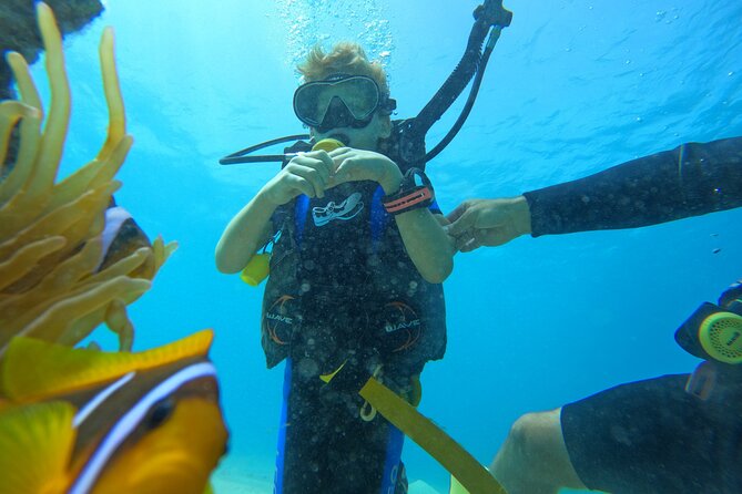 Private Scuba Diving Tour with Transportation and Guide - Pickup, Timing, and the Best Window to Book