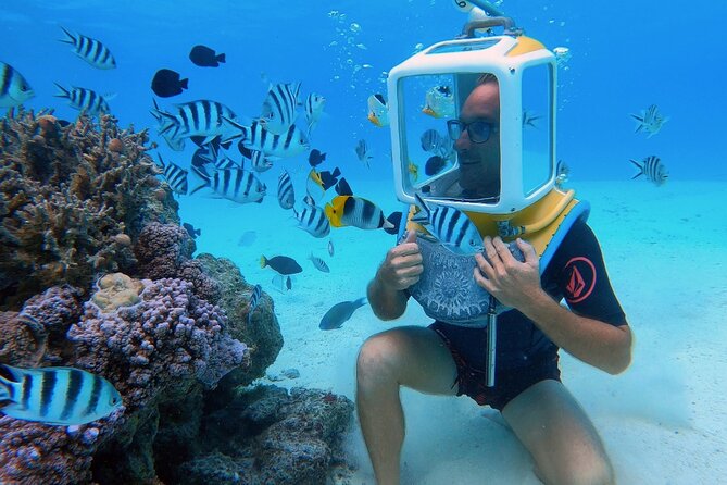 Private Tour: Aqua Safari Scuba Diving - Key things that make Aqua Safari different