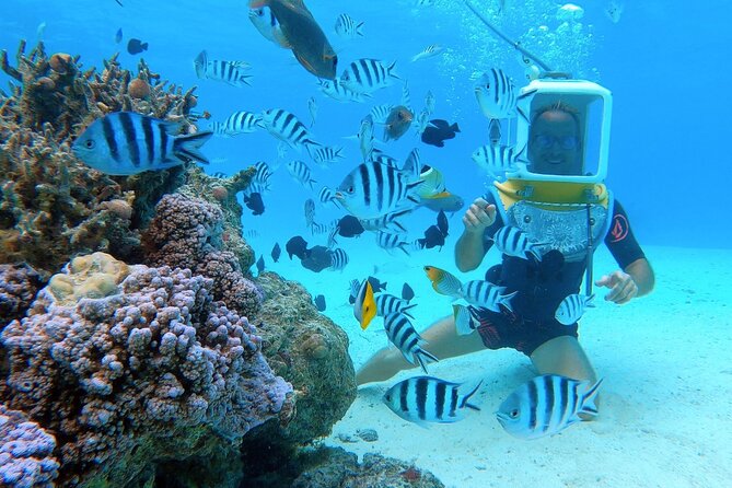 Private Tour: Aqua Safari Scuba Diving - Gear and comfort: what’s provided and what you must bring