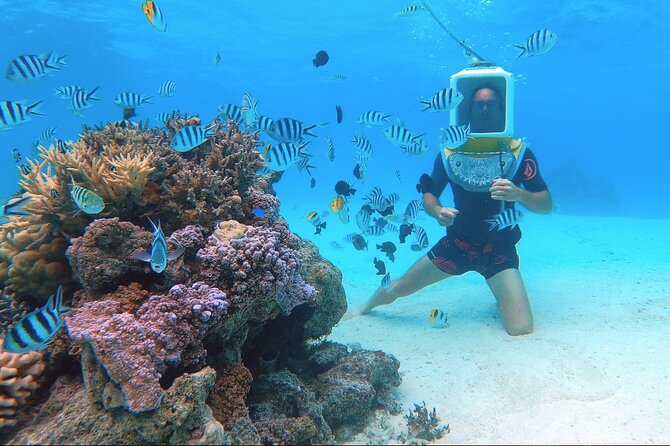 Private Tour: Aqua Safari Scuba Diving - Private tour value: how “up to 2” changes the day
