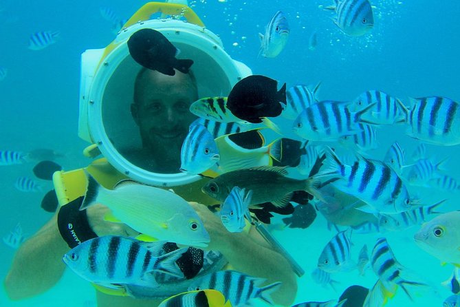 Private Tour: Aqua Safari Scuba Diving - Who should book this, and who might want a different option