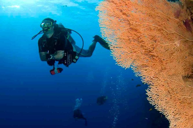 Professional 2 Stops Scuba Diving Full Day Boat Trip - Hurghada - Quick Hits Before You Commit
