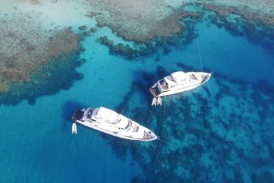Professional 2 Stops Scuba Diving Full Day Boat Trip - Hurghada - Timed Like a Plan: 8:30 to 4:00, and Why That’s Good