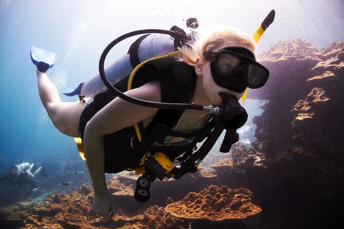 Professional Diver Two Stops Dives & Lunch, transfer–Hurghada - Key highlights before you go