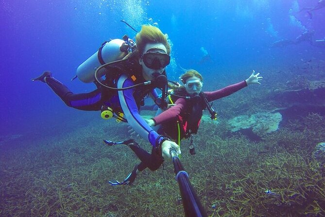 Professional Diver Two Stops Dives & Lunch, transfer–Hurghada - The onboard lunch and drinks: it’s not an afterthought